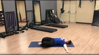 Windshield Wipers for Low Back Mobility