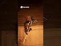 #halfsword #gaming #shorts #medieval #darkfantasy #duel #gameplay #youtubeShorts #gamingfr #chaos