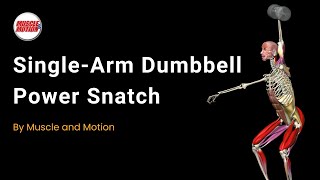 Master the Single-Arm Dumbbell Power Snatch: A Comprehensive Guide