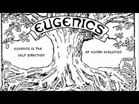 The Aristocrats - The 13 Bloodlines of the Illuminati