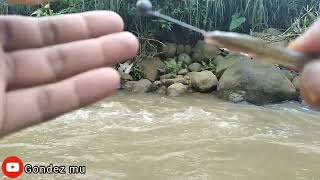 Mancing Blorok