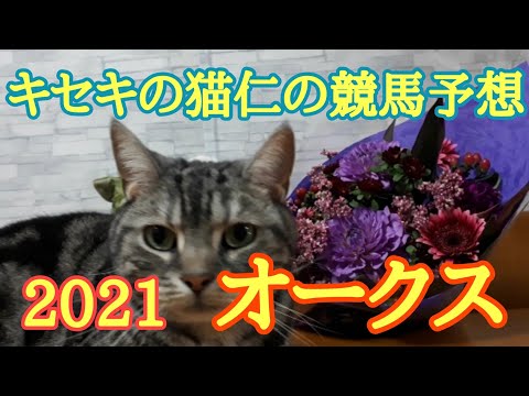 オークス2021 キセキの猫仁の競馬予想