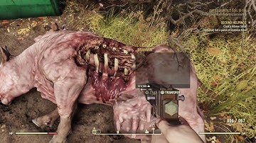 Fallout 76 B.E.T.A.  Gameplay Part 2