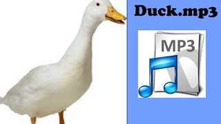 Download Lagu duck.mp3 MP3