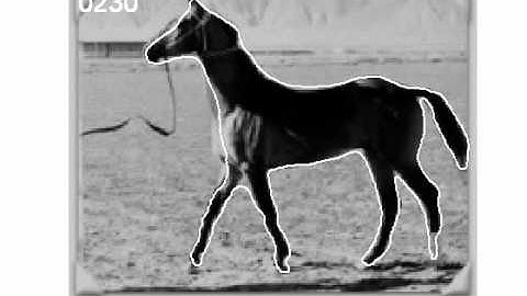 Prior Knowledge, Level Set Representations & Visual Grouping