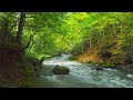 Native American Flute Music - Relaxing Flute for Sleep, Healing , Meditation &amp; Shamanic Astral