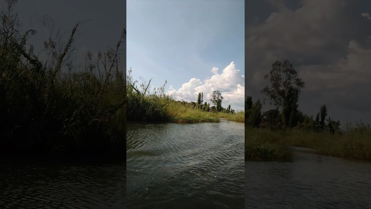 Exploring swamps of lake bangweulu YouTube