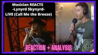 Musician REACTS to LYNYRD SKYNYRD - Call Me the Breeze (Live)