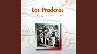 Video thumbnail of "Los Praderos - Herida De Amor"