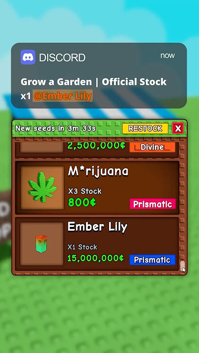 🌺POV: Ember Lily in Stock #growagarden