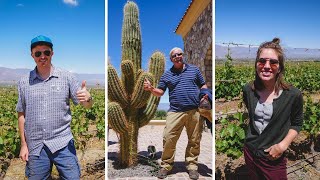 Visitando BODEGA PIATTELLI: Degustación de VINOS SALTEÑOS en CAFAYATE, Salta, Argentina