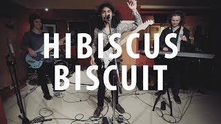 Hibiscus Biscuit - Keep On Rising (Local Live)