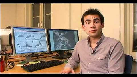 B&B: Evaluation of the energy efficiency of enzyme fermentation by mechanistic modeling