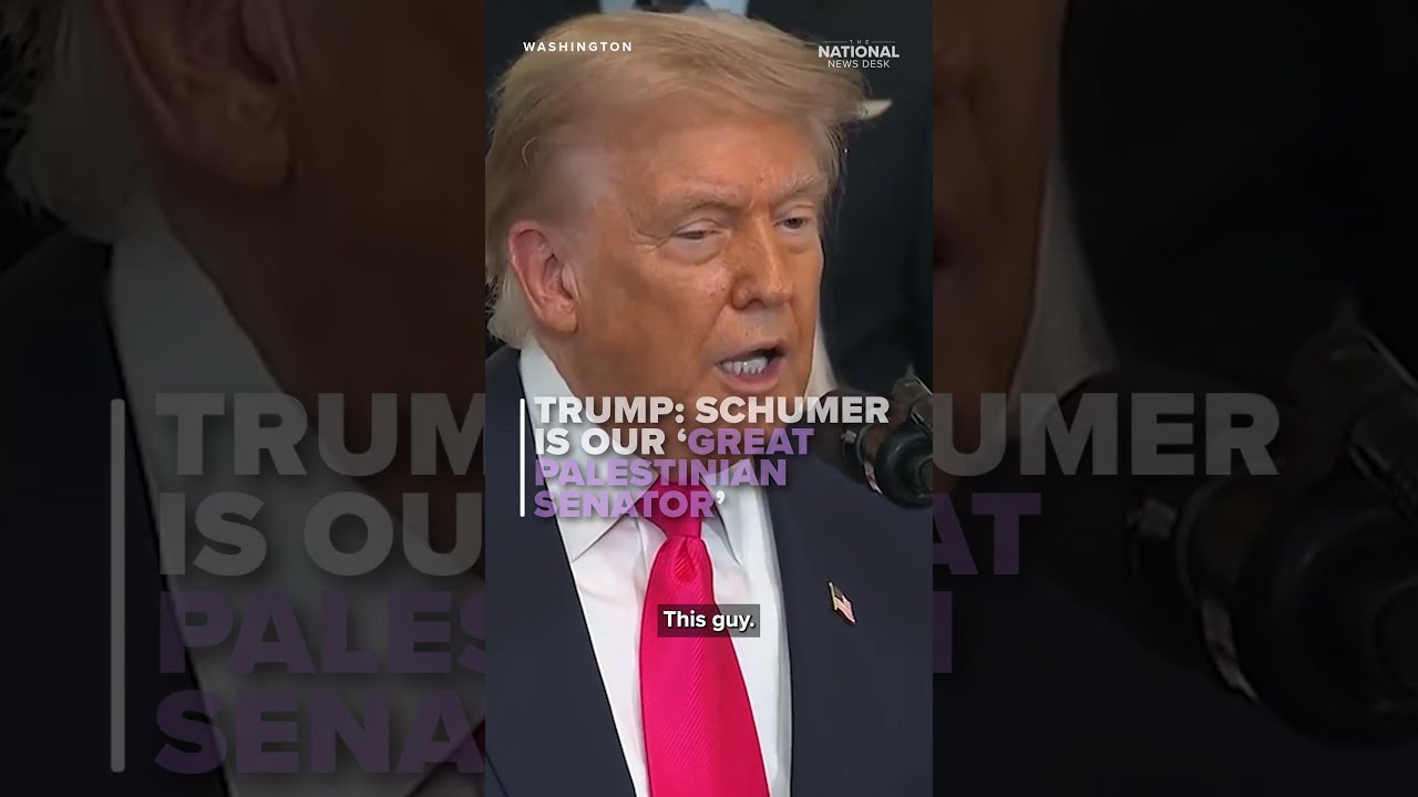 Trump Schumer Is Our Great Palestinian Senator 