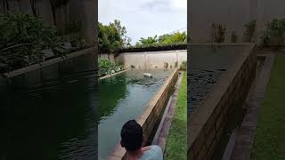 Test  dikolam rc boat penumpang bersama customer #diyrcboat #rcboatbatam