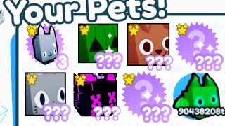 This Developer Gave Me A Hubert Cat In Pet Simulator X Liedyou?