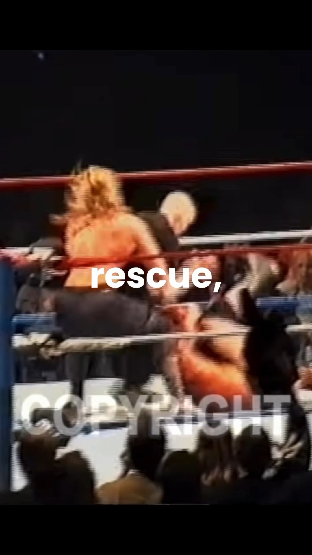 Why You Shouldn’t Mess With HHH ?