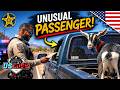 The Goat Mobile | US COPS | S4E72