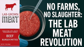 Will Lab-Grown Meat Save the Planet?