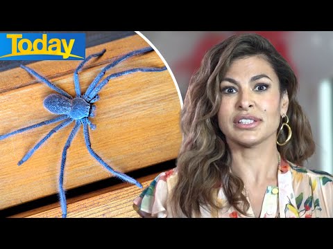 Eva Mendes 'emotionally traumatised' while in Australia | Today Show Australia