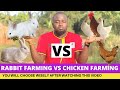 Rabbit Farming VS Chicken Farming; Which One Is More Profitable?