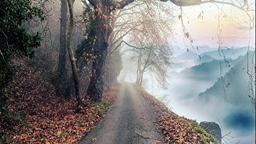 تلاوة مميزة تريح النفس وتشرح الصدر للقارئ عبد الرحمن مسعد 1080p