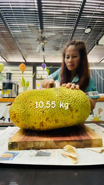 A 10.55 kg Ripe Jacfruit #asmrsounds #fruit #ytshorts