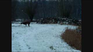 Arco & Casper: winter 2009.wmv