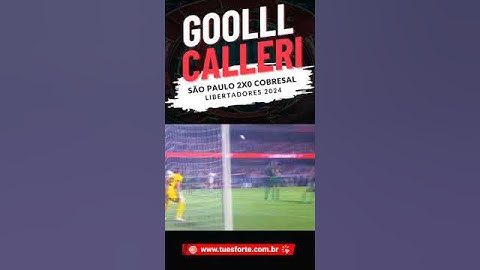 Gol de Calleri contra o Cobresal - Libertadores 2024