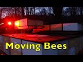 How We Move Bees