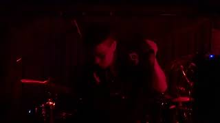 The Voidz - Why Don't My Keyboard Work? (Improv Jam) – Secret Show, Live in Venice