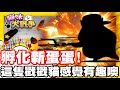 《哲平》手機遊戲 貓咪大戰爭 - 太爽了吧!! 他居然一次給兩顆耶!! | 又有蛋蛋孵化啦!! 這隻戳戳貓!! 感覺很不賴耶!!