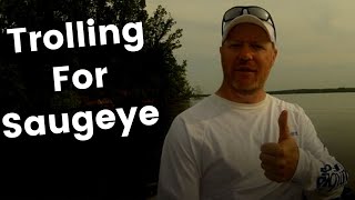 Alum Creek Saugeye