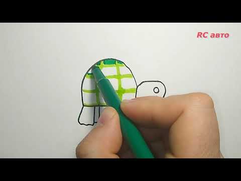 Как нарисовать черепаху /how to draw а turtle