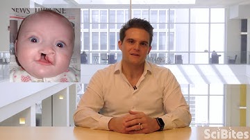 NIH SciBites: Cultivating Clues to Combat Cleft Palates