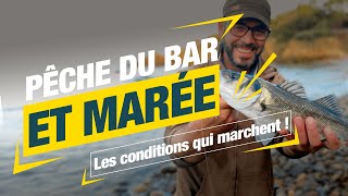 Tuto Pêche du bar : 3 règles pour augmenter ses chances screenshot 1