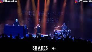 Nas The World Is Yours Live In Brisbane 10th Feb River Stage 2019