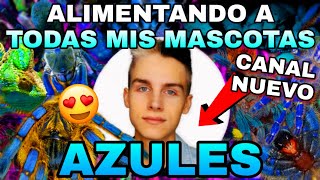 My Second Channel for Videos in Spanish!