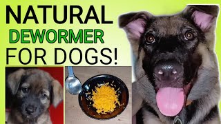 NATURAL DEWORMER FOR DOGS! SAFE SA BUNTIS NA ASO! SUPER EFFECTIVE ! | SESE TV