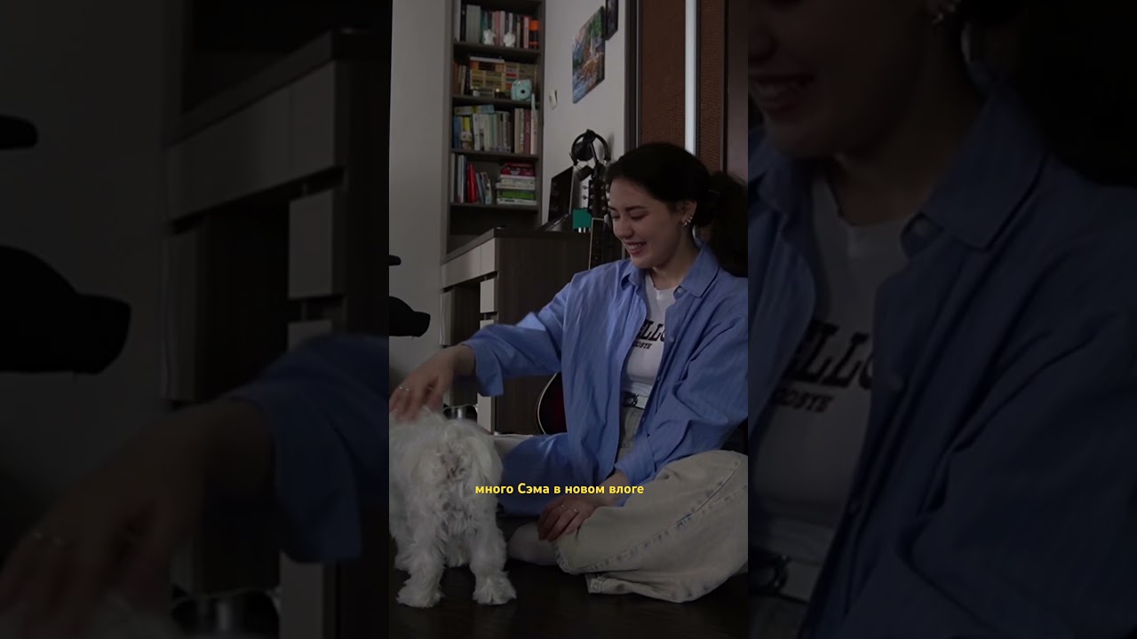 Мой лучший друг 