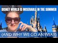 Summer Heat Survival at Walt Disney World