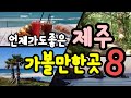 제주도 여행코스 추천 베스트 8 언제가도 좋은 힐링여행지 (노을 ,해변,가볼만한곳,억새,숲,힐링여행지,인생샷) Best 8 Healing Tours in Jeju Island