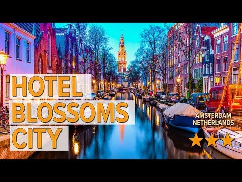 hotel blossoms city hotel review hotels in amsterdam netherlands hotels