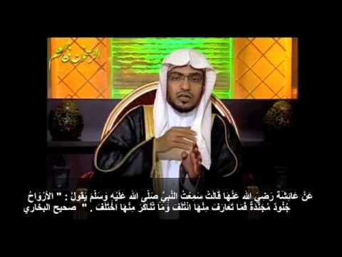 قصة حديث الأرواح جنود مجنده الشيخ صالح المغامسي Youtube