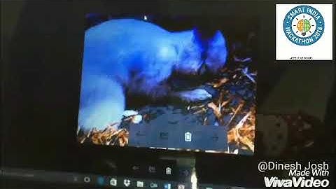 anti collision system