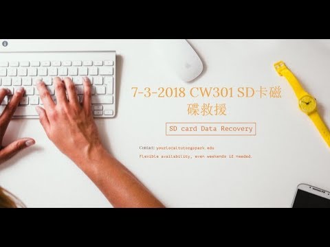 7-3-2018 CW301 SD卡磁碟救援 SD card Data Recovery