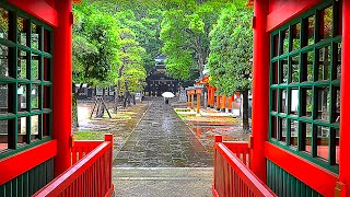 Walking in the Rain in Tokyo: Toyama Park &amp; Ana Hachiman Shrine - Rain Walk, Heavy Rain, ASMR