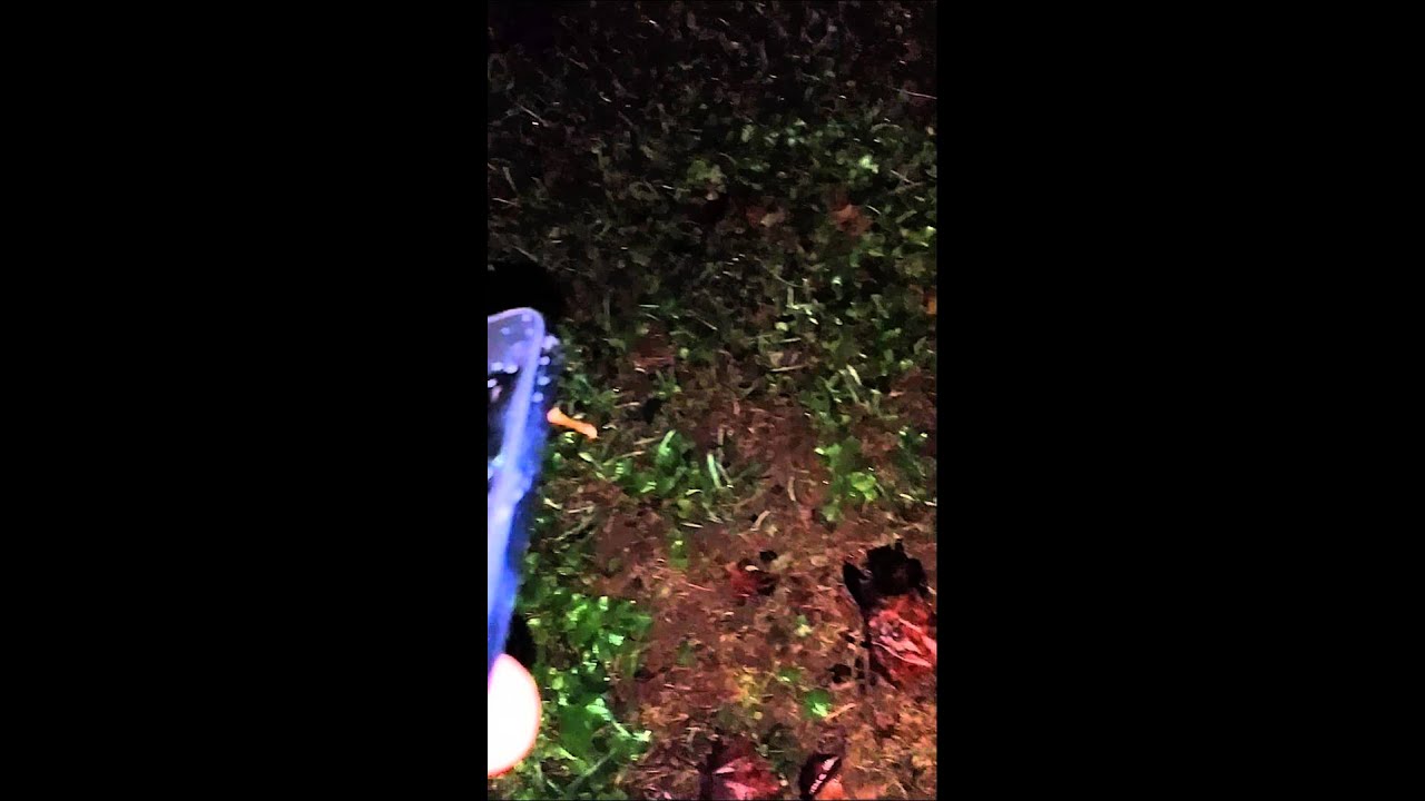 camera iphone 8 plus apk C4 firecracker Iphone 5 Otterbox and drop test