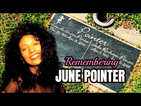 Video: Is er een pointer-zus overleden?