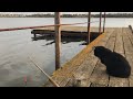 На рыбалке с кошкой. Отдых у воды в октябре